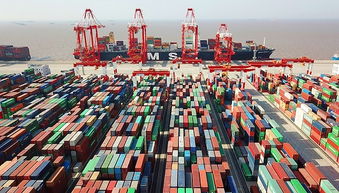 上海口岸去年进出口货物总值增长15 通关时间压缩1 3